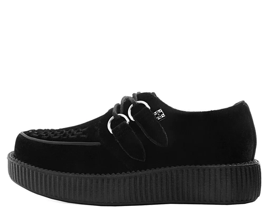 Black Velvet Creeper