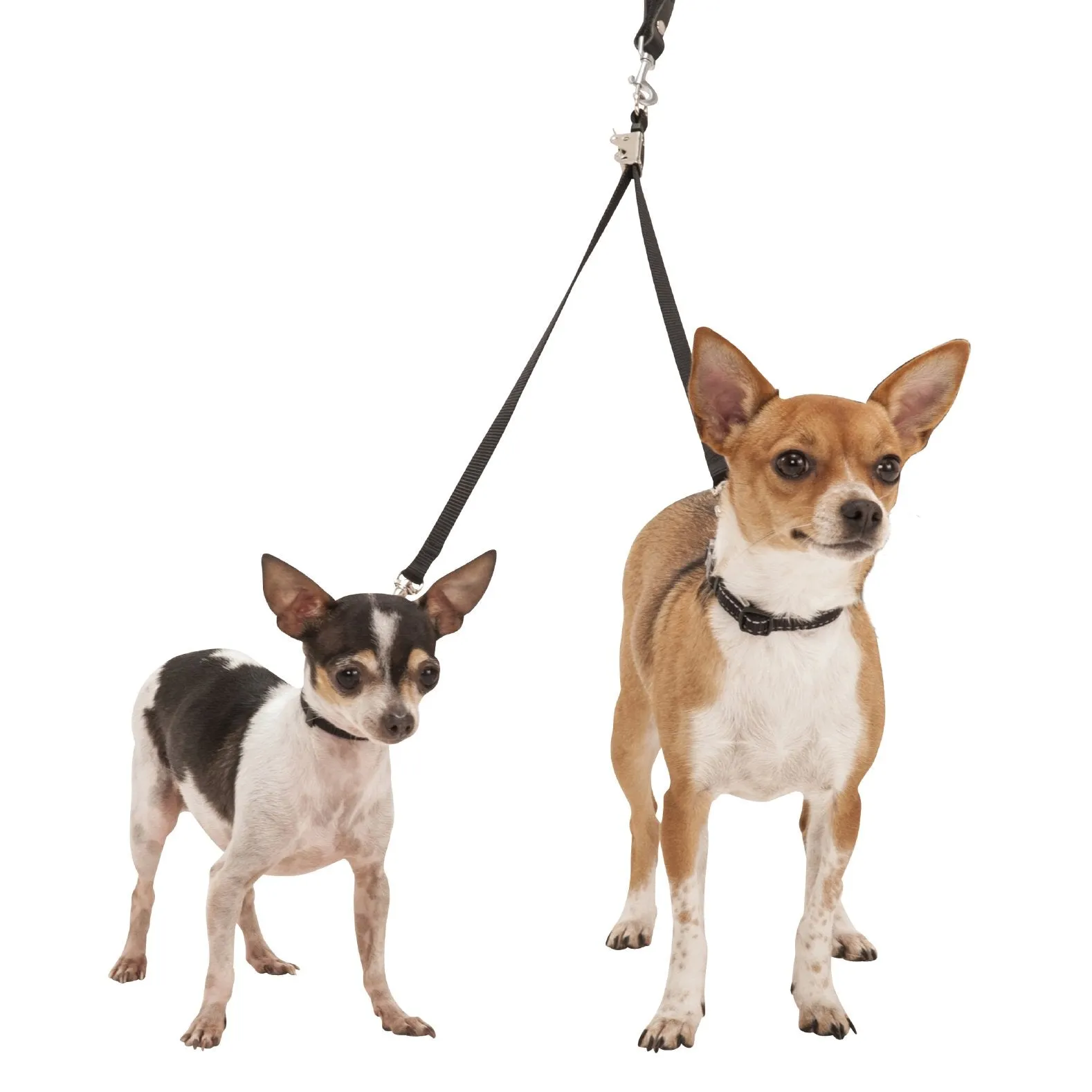 Sporn® Double-Dog™ Coupler