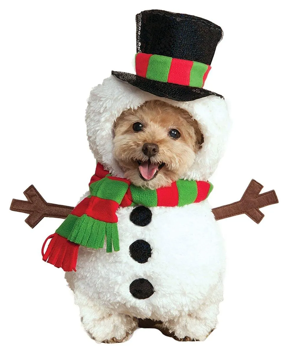 Walking Snowman Pet Costume